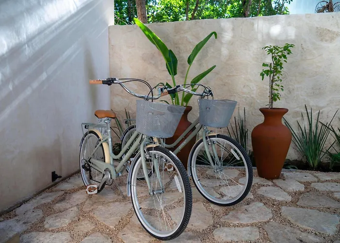 Appartement Your Dream Pool Bikes & Near Every Hotspot
