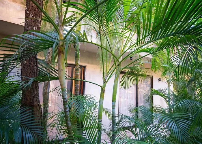 Your Dream Pool Bikes & Near Every Hotspot * Tulum