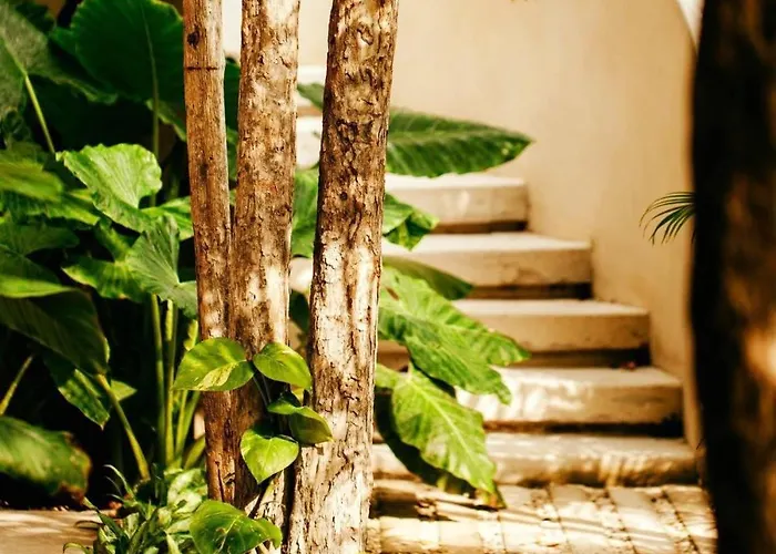 Your Dream Pool Bikes & Near Every Hotspot Tulum